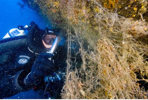 Il Recupero Delle Reti Fantasma A Punta Chiappa Corriere It