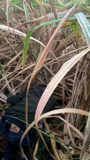 Watch กบดกหน Av Japanese Japanese Beautiful Porn SpankBang