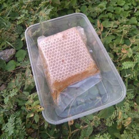 Jual Madu Sarang Milevera Raw Honey Rawhoney Honeycomb Asli Murni