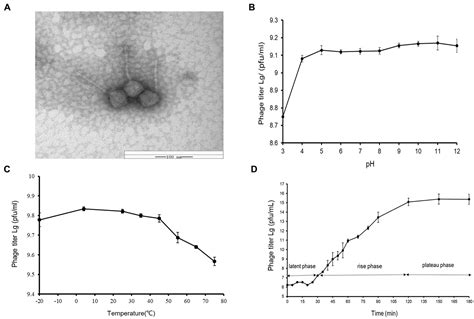 Frontiers Characterization And Genomic Analysis Of Phage VB ValR NF