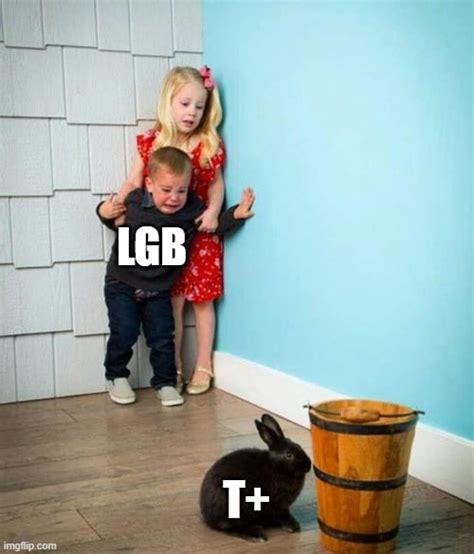 According To My Gay Friend This Is How Standard Gay People Feel About Trans People 9GAG