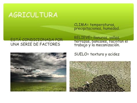 Sector Primario Agricultura Ppt