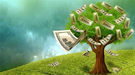Earn Quick Cash: Selling Organs Safely and Legally Explained - Hunter Games Magazine