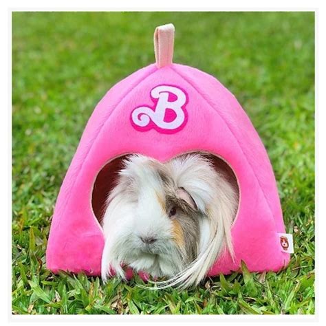 Caminha Para Porquinho Da India - Toca, Caminha p/ Porquinho da Índia - Barbie - Guinea Pig Props ...