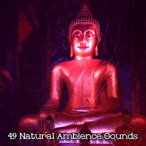 49 Natural Ambience Sounds Album By Entspannungsmusik Spotify