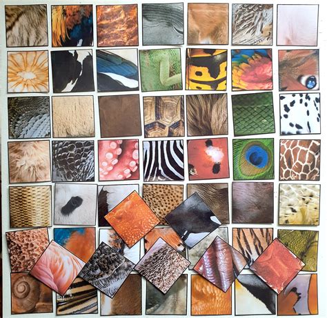 Montessori - Educational Help Laminated With Velcro - Animal Body