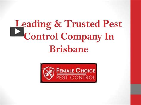 Ppt Get Excellent Pest Control Service Female Choice Pest Control Powerpoint Presentation