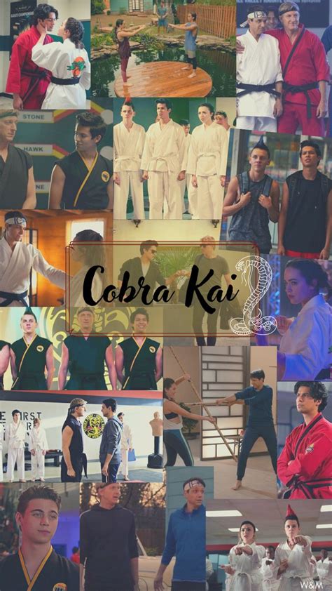 Cobra Kai wallpaper