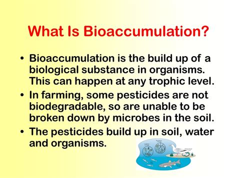 PPT - BIOACCUMULATION PowerPoint Presentation, free download - ID:181796