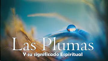 Plumas Significado Espiritual Y Simbolismo Ame Jumelle