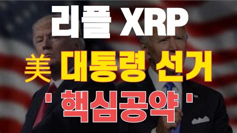 리플xrp 미국 대통령 선거 핵심공약 Youtube