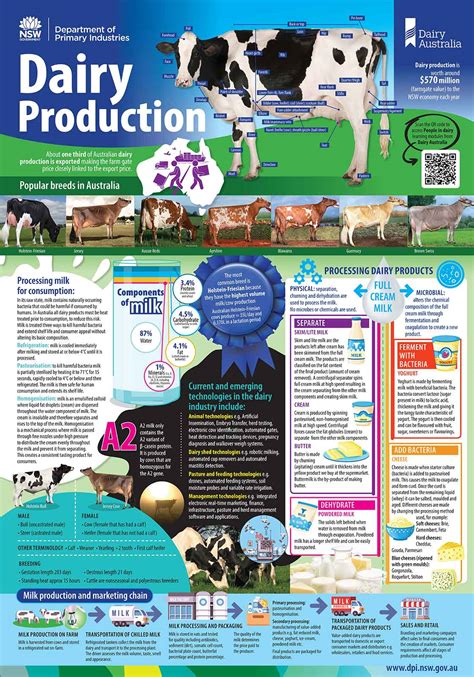 Dairy Poster