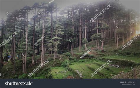 Patnitop Hill Station Stock Photo 1188752365 | Shutterstock