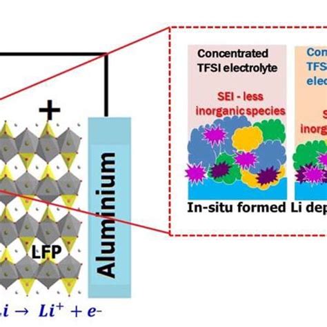 Schematic Representation Li Anode In Anode Free Battery After Plating