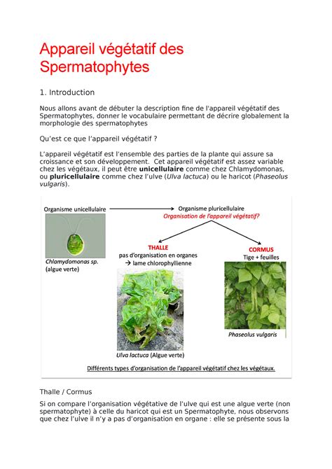 Appareil végétatif des Spermatophytes Chauchard Appareil végétatif