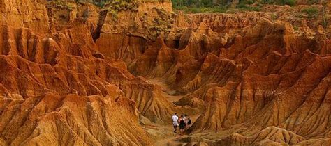 La Tatacoita el desierto frío oculto cerca a Bogotá que atrae