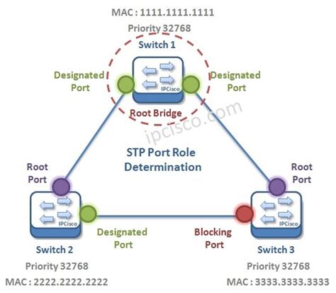 Spanning Tree Protocol Mechanism Ipcisco