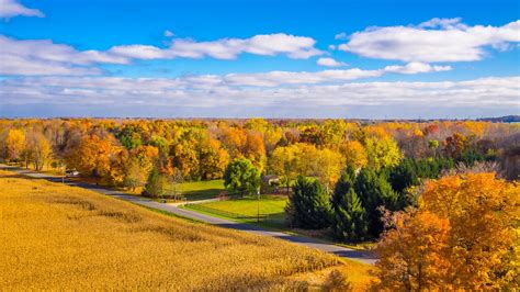 HD Autumn trees along the road Wallpaper | Download Free - 149206