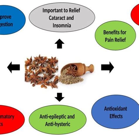 The Most Important Health Benefits Of Anise Seeds Download