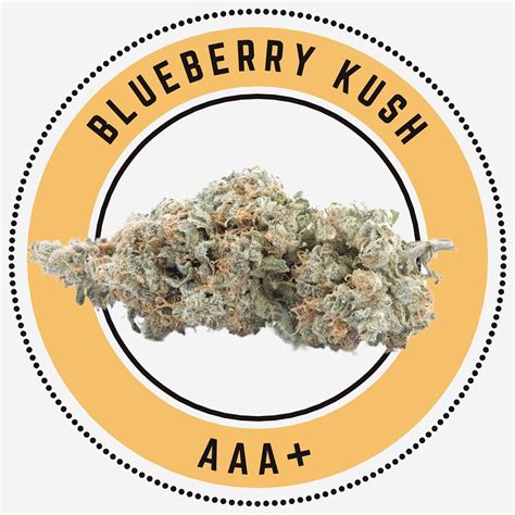 Buy Blueberry Kush Indica Dominant Hybrid Online In Canada The