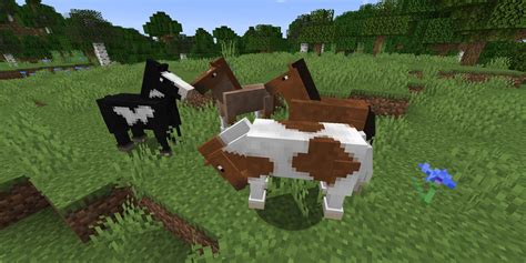 How To Breed Horses In Minecraft