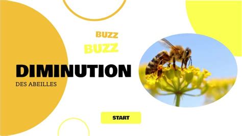 Diminution Des Abeilles