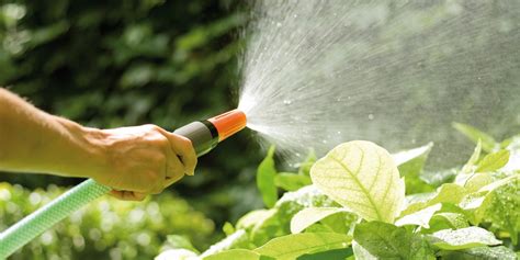 Comment Mieux Maitriser La Gestion De L Eau Pour Entretenir Son Jardin