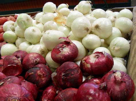 Phytochemicals (Lesson 11)