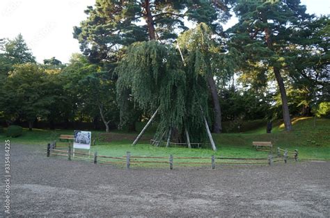 It is a photograph of Hirosaki Park in Aomori, Japan. There is Hirosaki ...