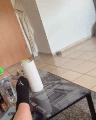 Homemade Amateur Gifs Sex Gifs Porn XXX GIFs 3676056 PICTOA