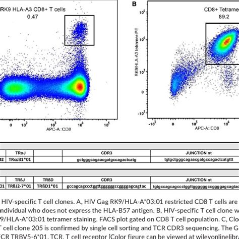 Figures A Hiv Gag Rk Hla A Specific Cd Memory T Cell Clone