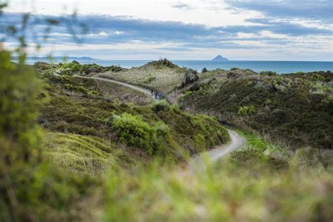 Guided cycling tours in New Zealand | 100% Pure New Zealand