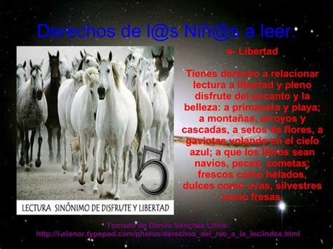 Derechos Universales Del Ni O A La Lectura Y Los Libros Ppt