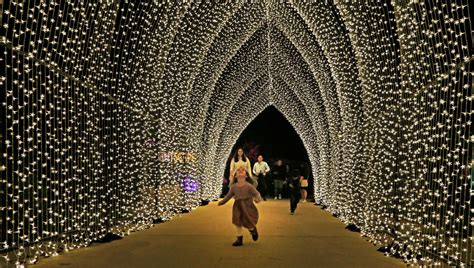 Lightscape Returns To San Antonio Botanical Garden In November