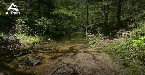 Best hikes and trails in Piney Creek Wilderness | AllTrails