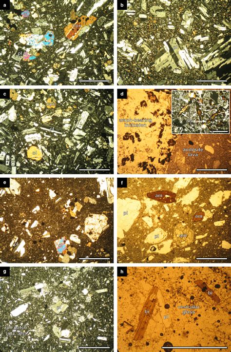 12 Photomicrographs Illustrating The Range Of Volcanic Rocks Of Download Scientific Diagram