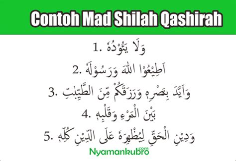 Contoh Bacaan Mad Shilah Qoshiroh Koleksi Gambar