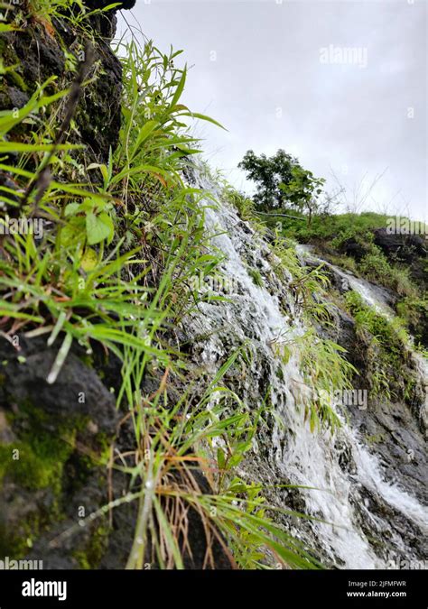 A Waterfall On Mossy Caves With Plants In Ellora Caves In Verul India