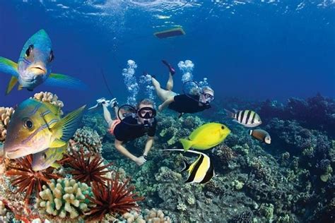 2024 (Sharm El Sheikh) Snorkeling by Boat to Ras Mohamed