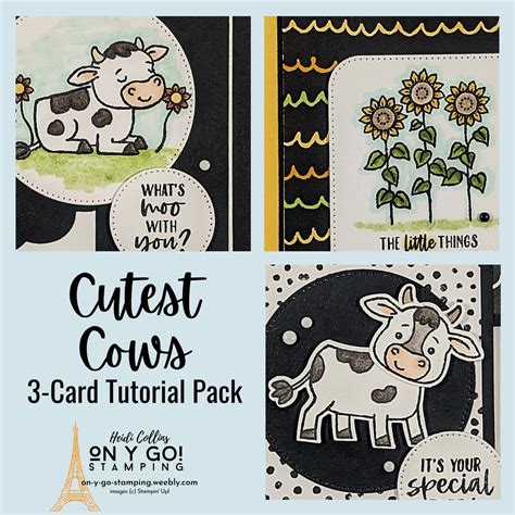 Cutest Cows Stamp Set Card Making Tutorial