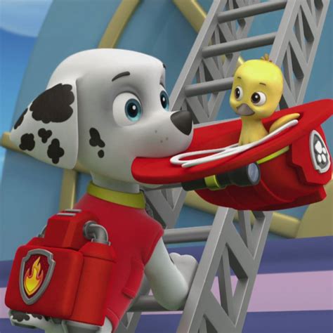 Paw Patrol Seizoen 1 Afl 5 Puppies En Ganzen Pup Pup En De Lucht In Volledige