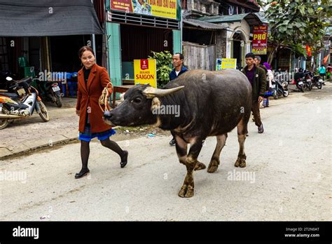 Sa Pa Vietnam Market Sapa Hi Res Stock Photography And Images Alamy