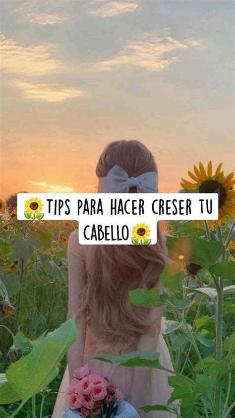 Pin De ⚛ 🎀 𝓁𝑒𝓈𝓈𝓁𝒾𝑒 🎀 ⚛ En Pines Creados Por Vos Consejos Para El Cabello Tratamientos