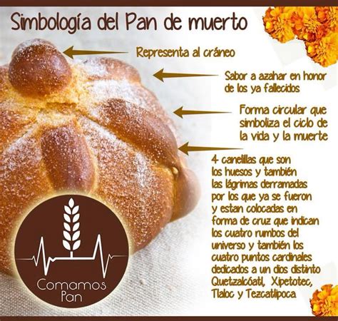 Te Has Preguntado Por Qu El Pan De Muerto Tiene Esa Forma Dale