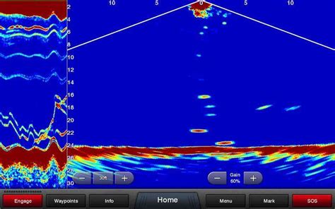 The Details On Garmin S New Panoptix All Seeing Sonar