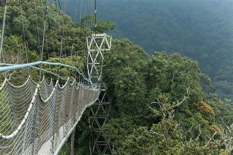 Nyungwe Forest National Park African Skies, Rwanda, Forest, Sky, Travel ...