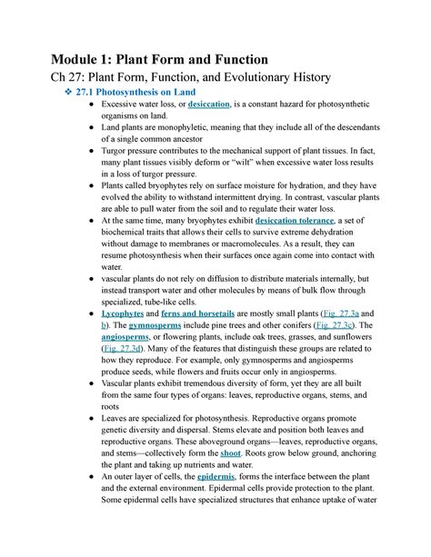 Module 1 Plant Form And Function CH 27 Module 1 Plant Form And