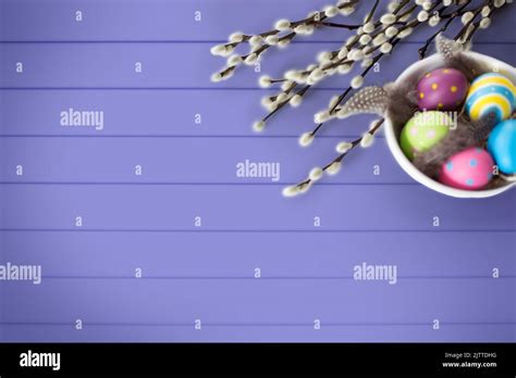Colored Easter Eggs And Pussy Willow Branches Stock Photo Alamy