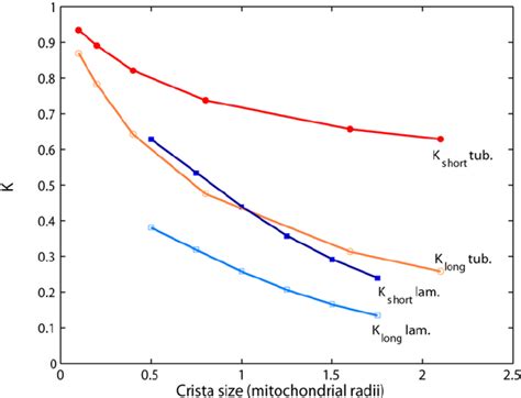 Limiting Values Of Projected Diffusivities Comparison Of The MC