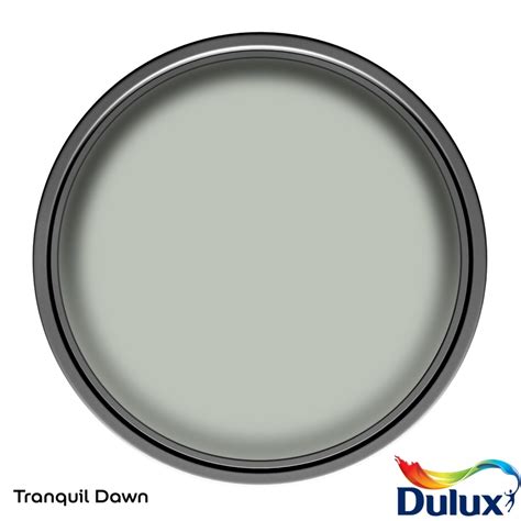 Dulux Easycare Washable Tough Matt Emulsion Paint Tranquil Dawn L